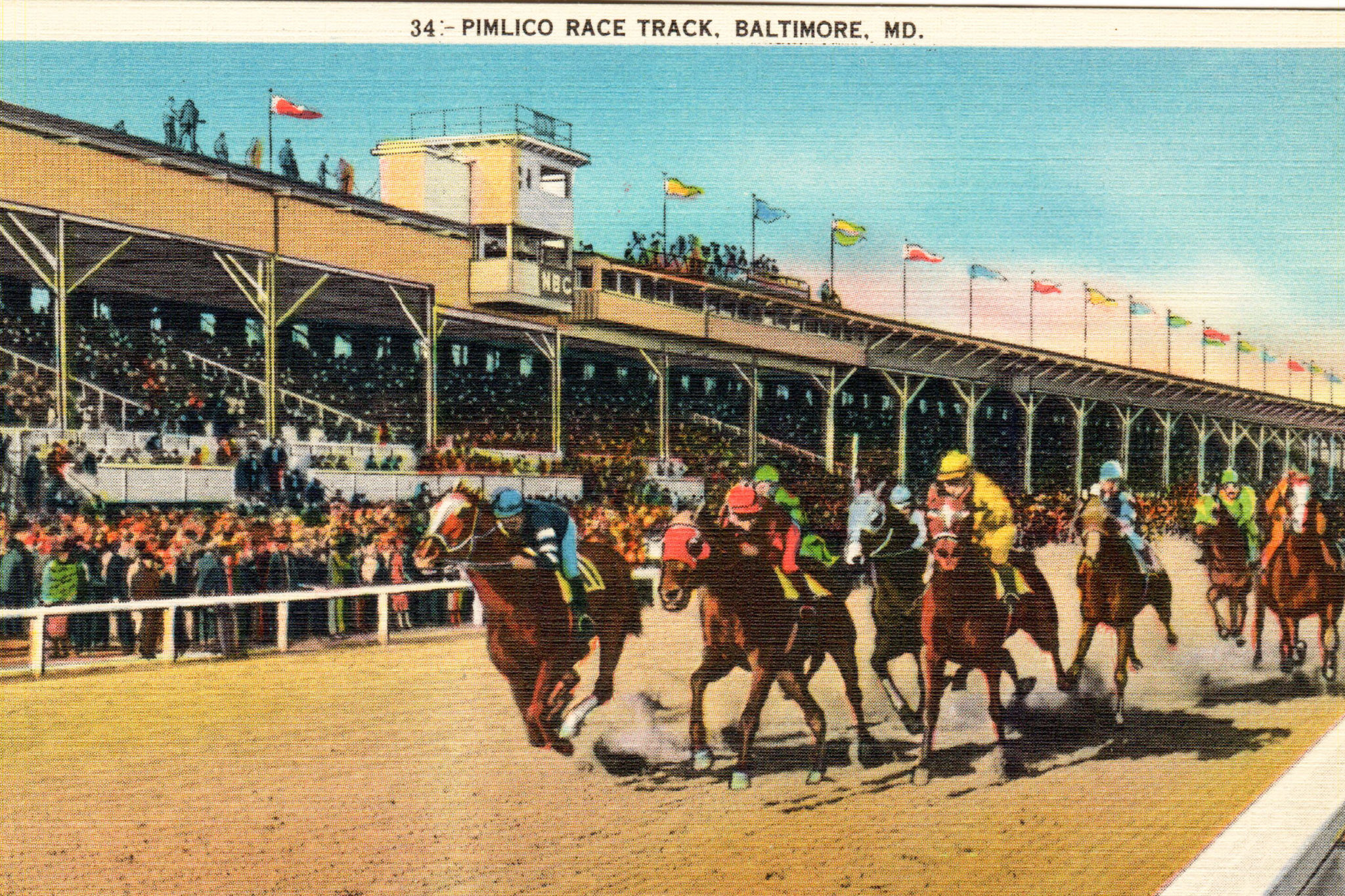 Don’t Bet Against Horse Racing