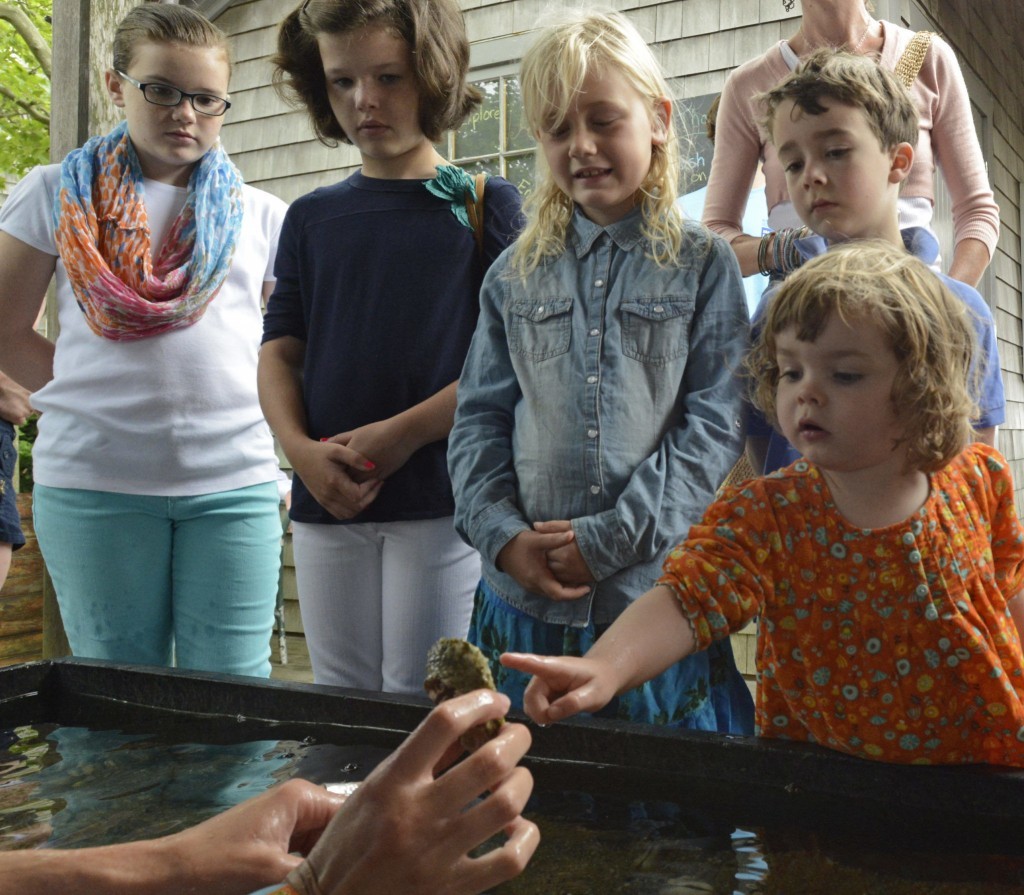 Touch tank