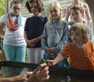 Touch tank