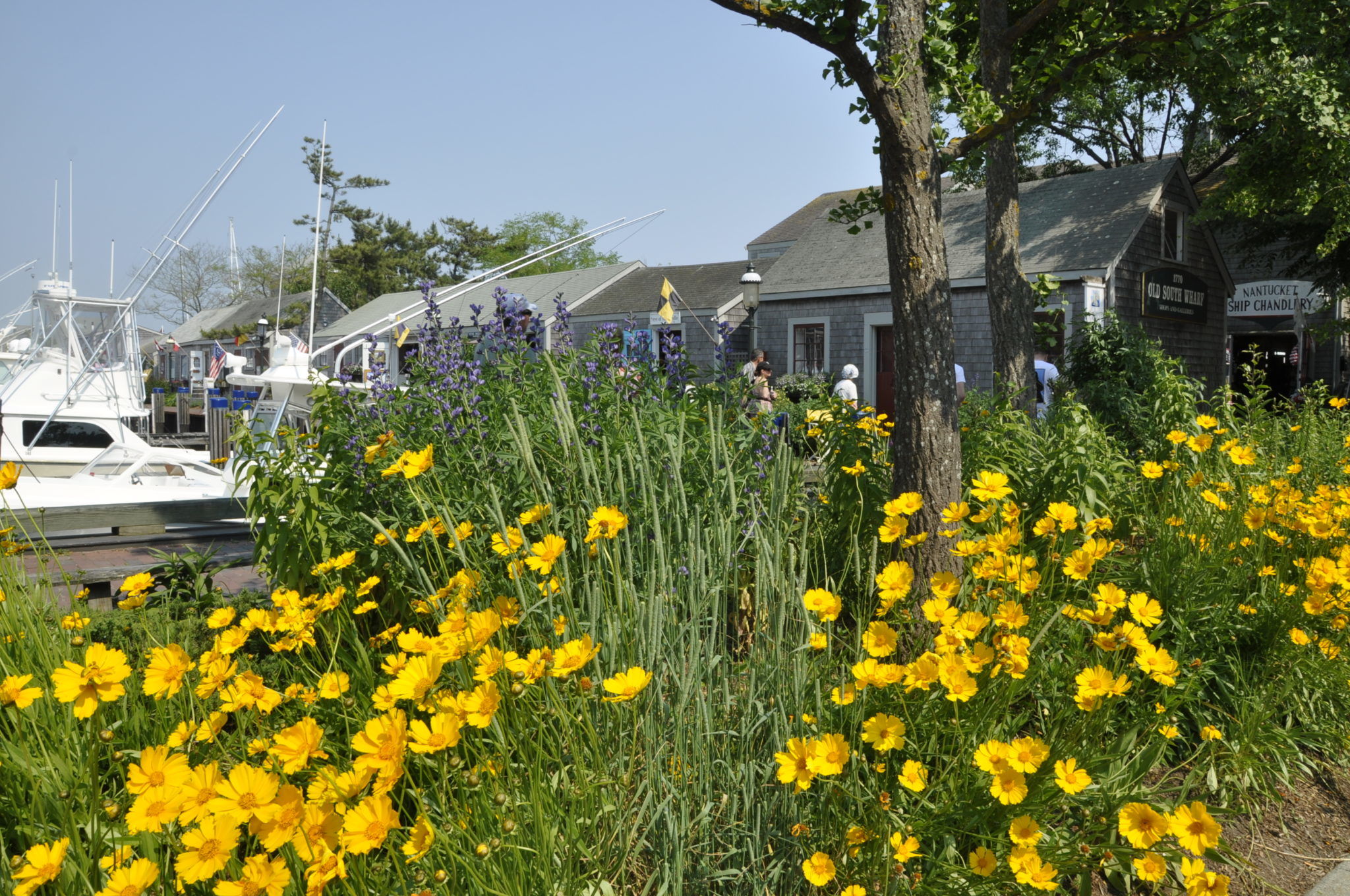 Nantucket