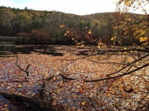 Poconos hike