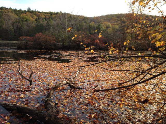 Poconos hike