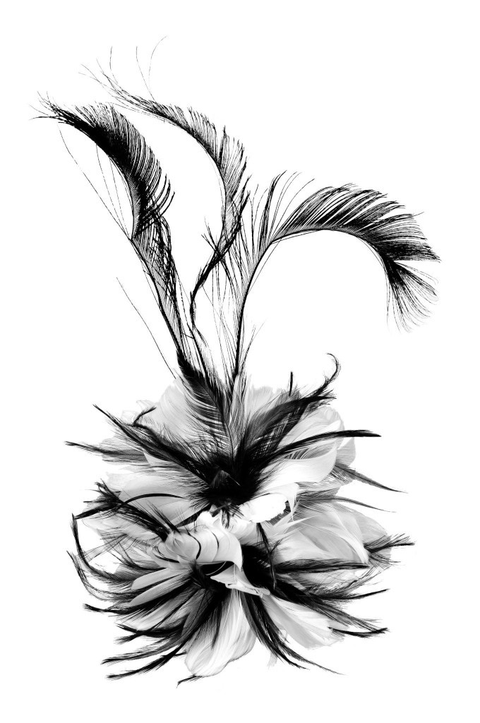Fascinator