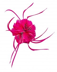 Fascinator
