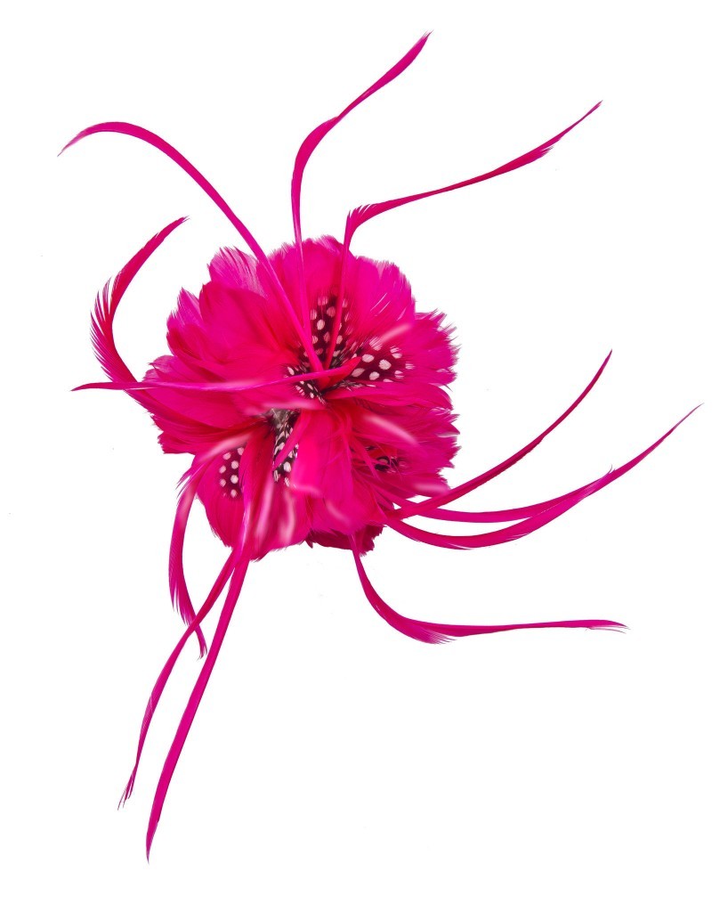 Fascinator