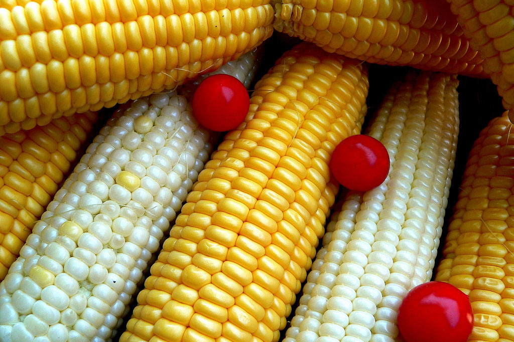 Summer's bounty