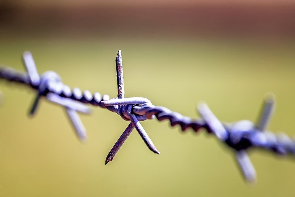 Barbed wire fence