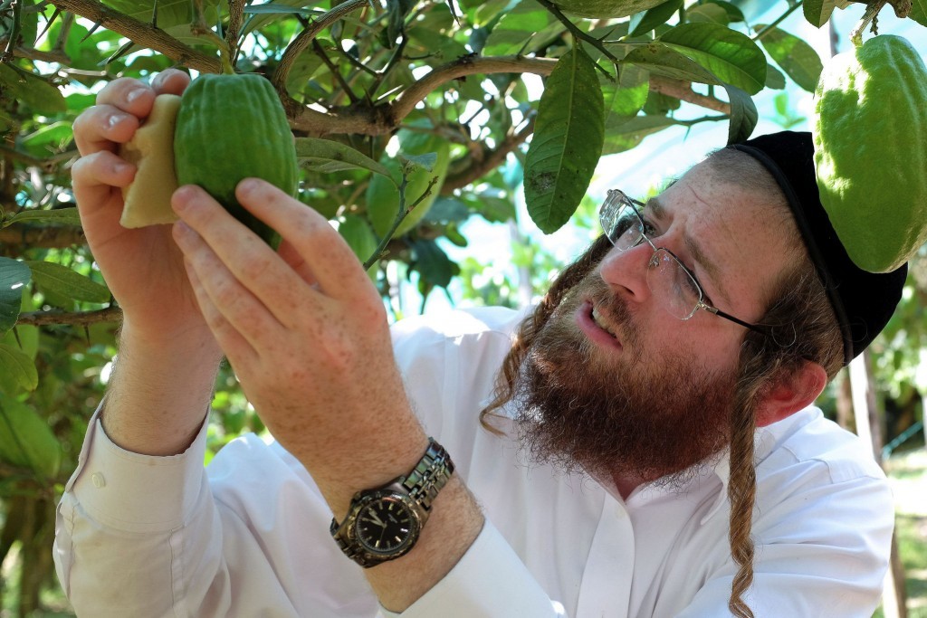 Samuel Ekstein