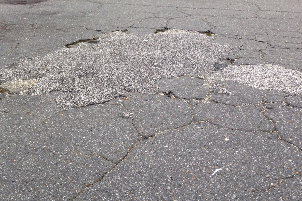 Baltimore City pothole