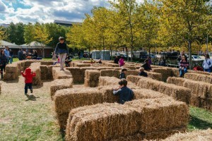 Harbor Harvest Festival