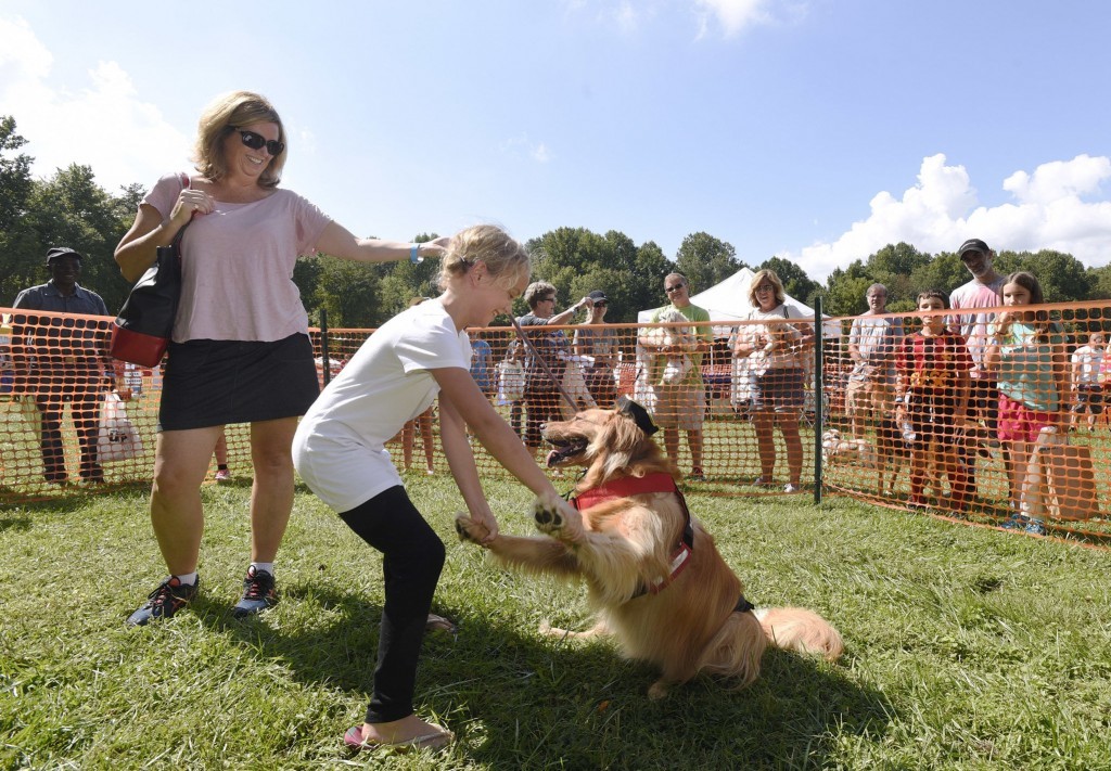 Dogfest 2017
