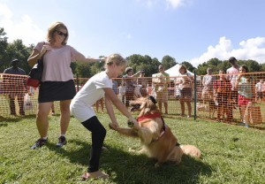 Dogfest 2017