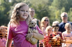 Dogfest 2017