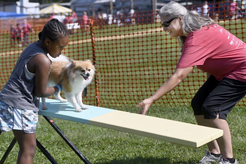 Dogfest 2017