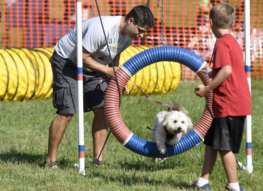 Dogfest 2017