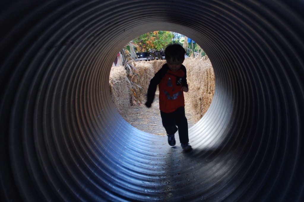 Valley View Farm Halloween Village