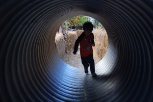 Valley View Farm Halloween Village