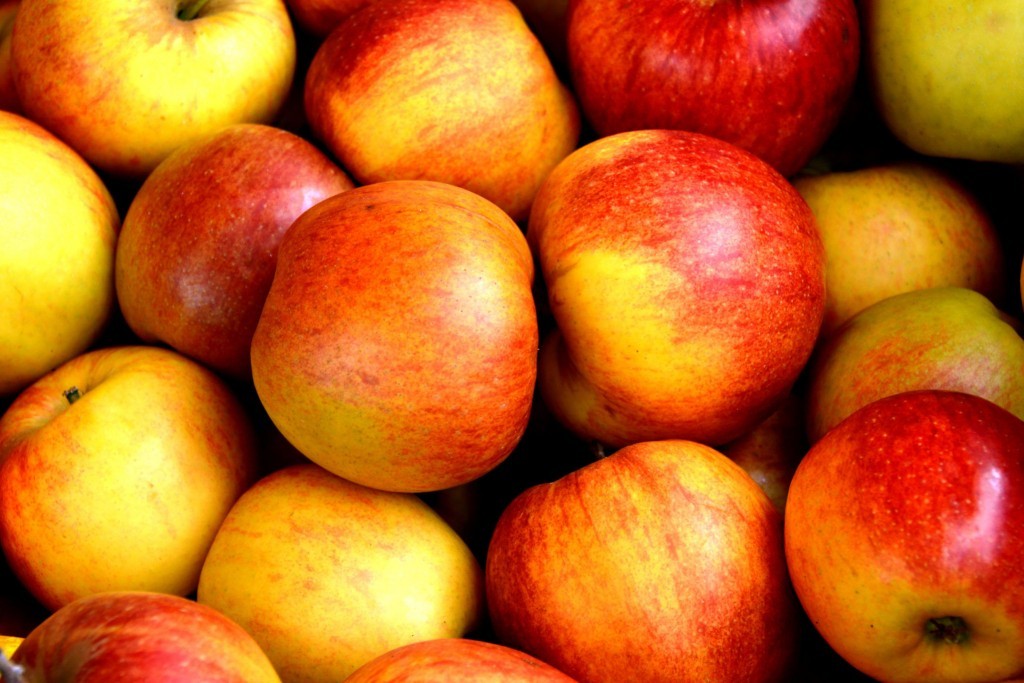 Shredded apples