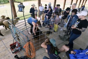 Sukkot Family Farm Festival