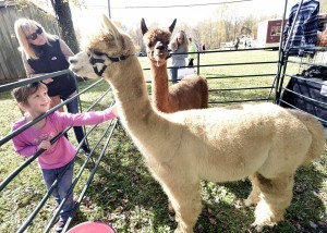 Baltimore Humane Society's 90th Birthday Bash