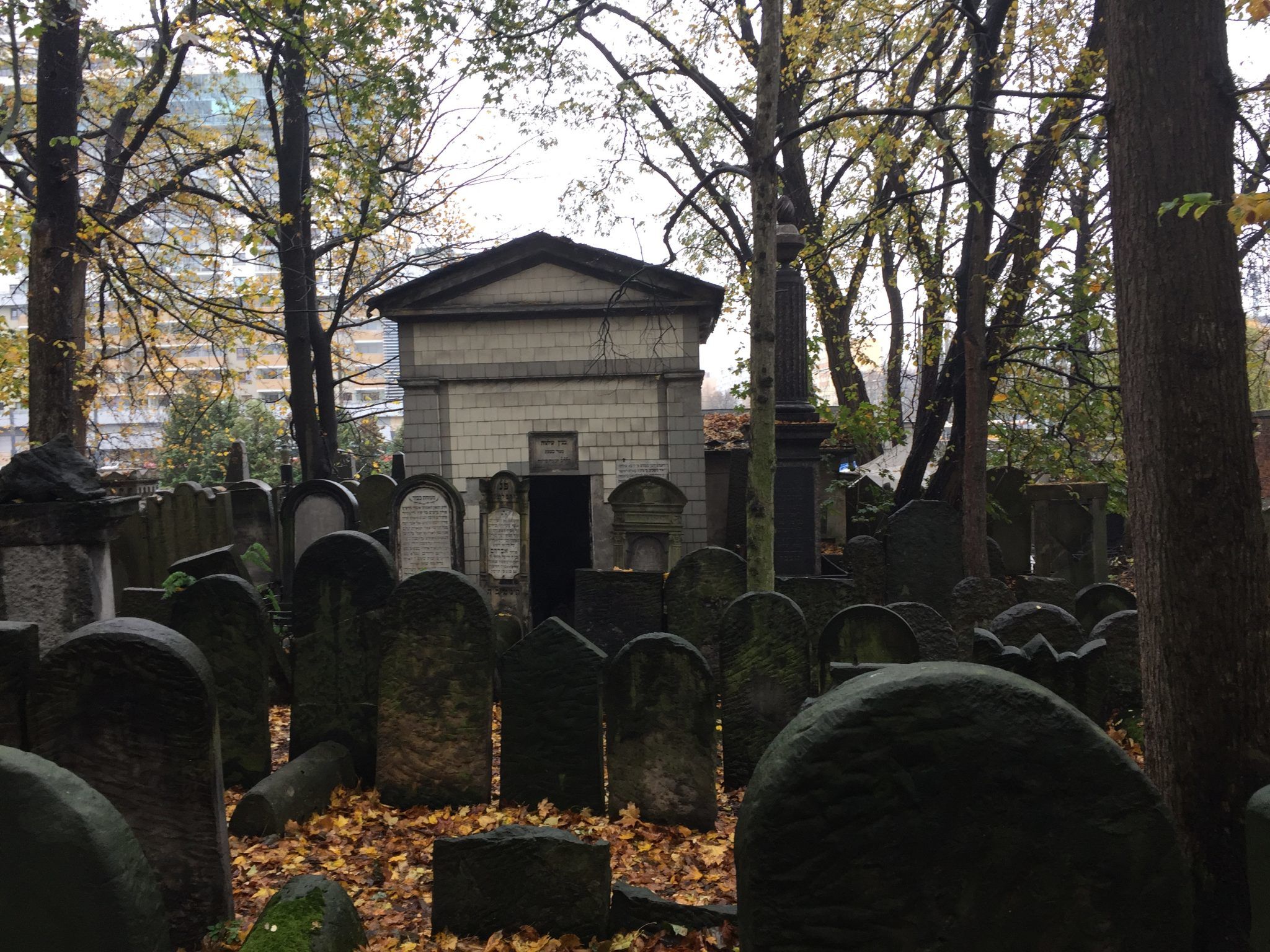 Warsaw Jewish Cemetery