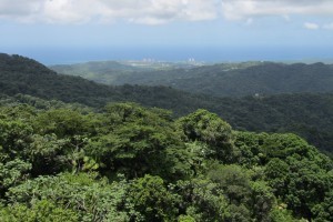 Puerto Rico