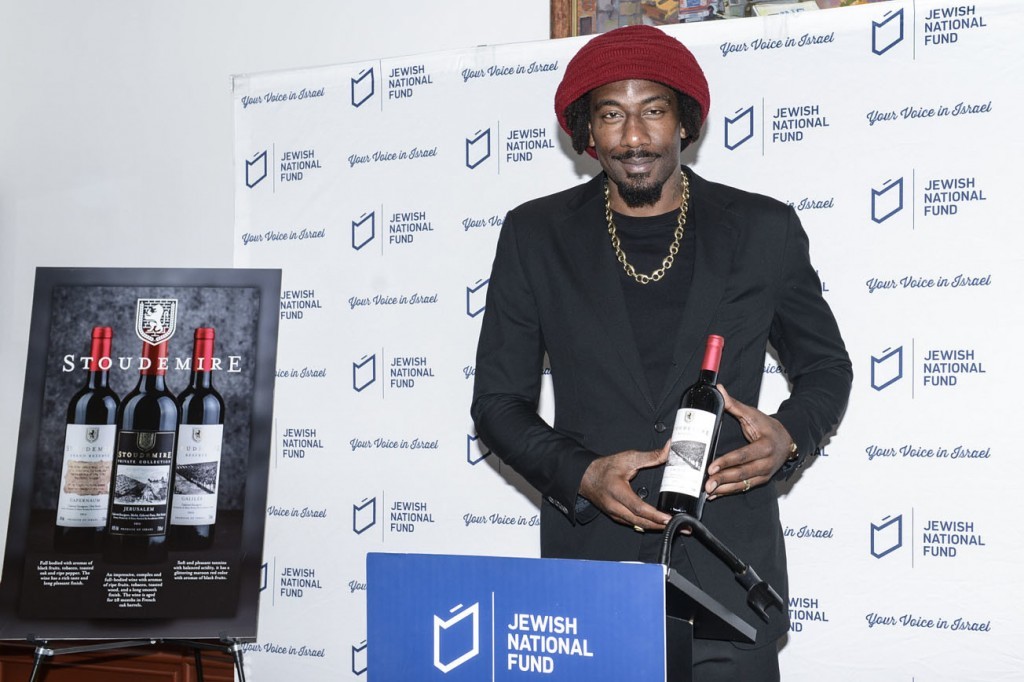 Amar'e Stoudemire