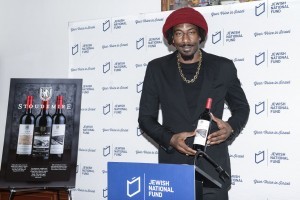 Amar'e Stoudemire