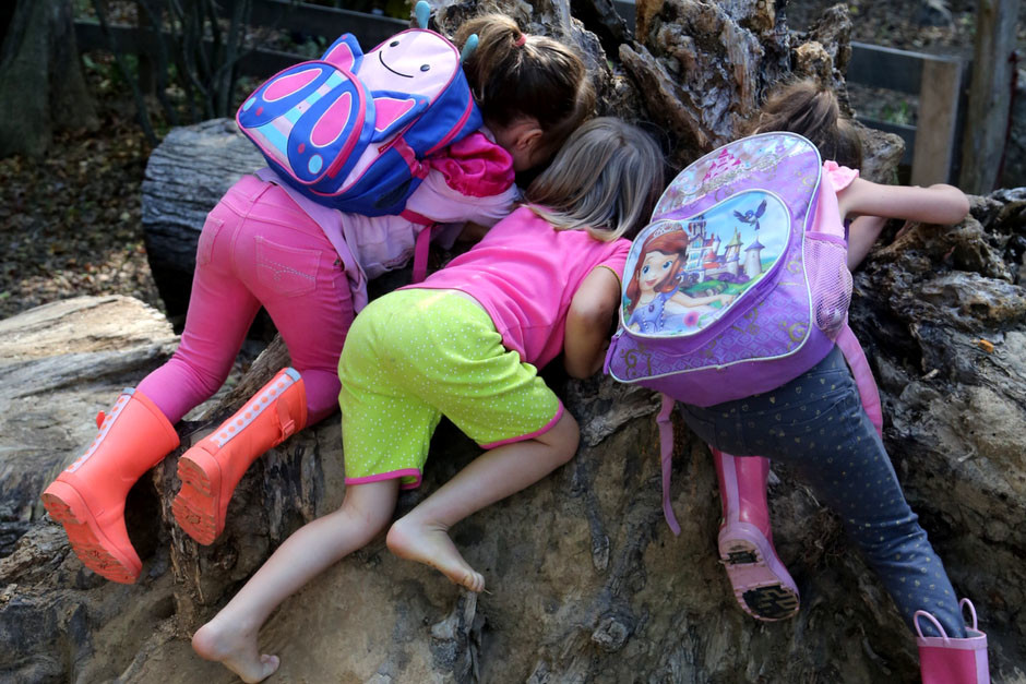 Irvine Nature Center