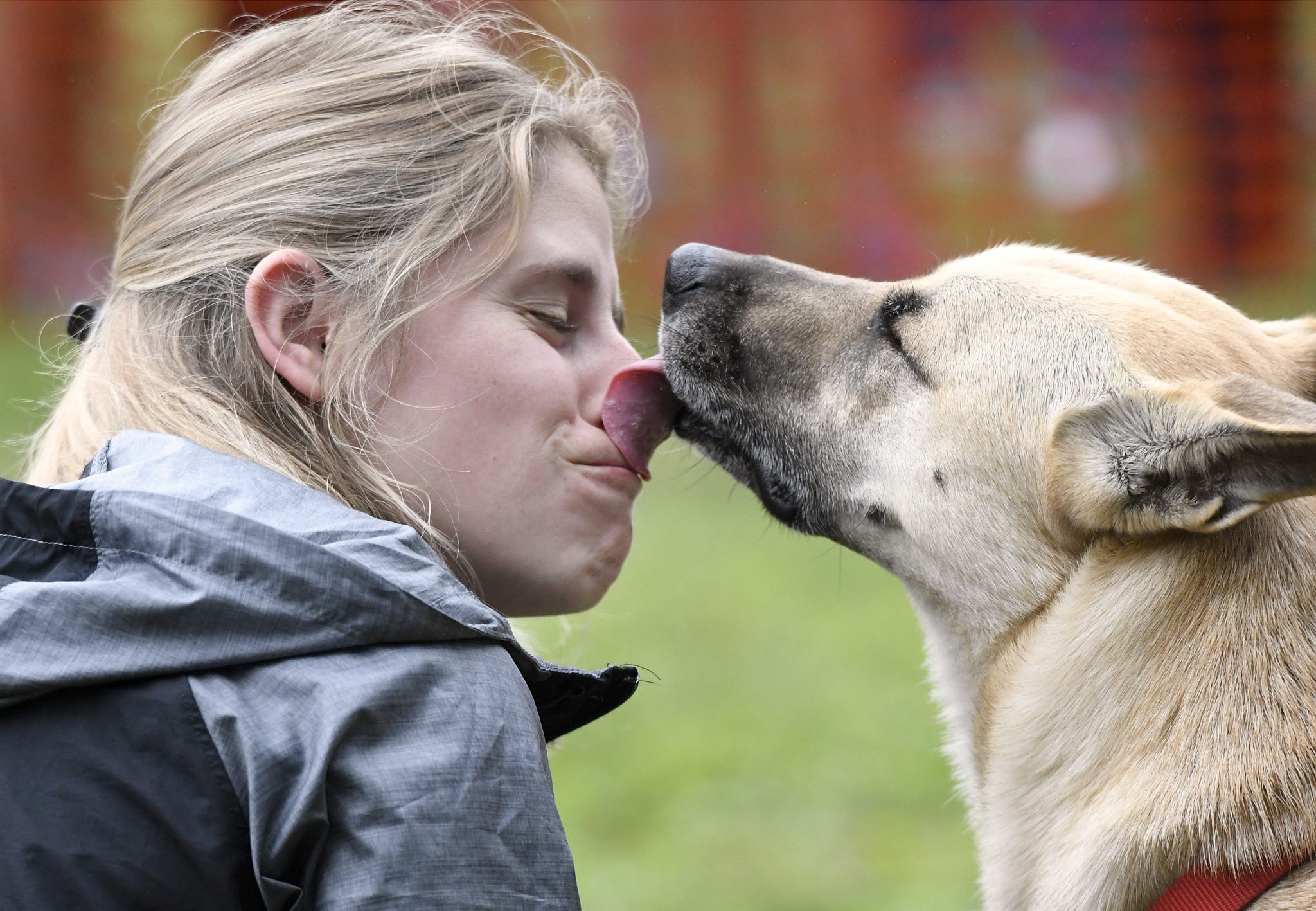 Whitney Shumaker, a resident of Shrewsbury, Pennsylvania, receives a smooch from her dog, Reese, at the Baltimore Humane Society's DogFest event in 2019.
