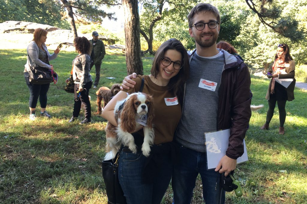 Yiddish for dogs