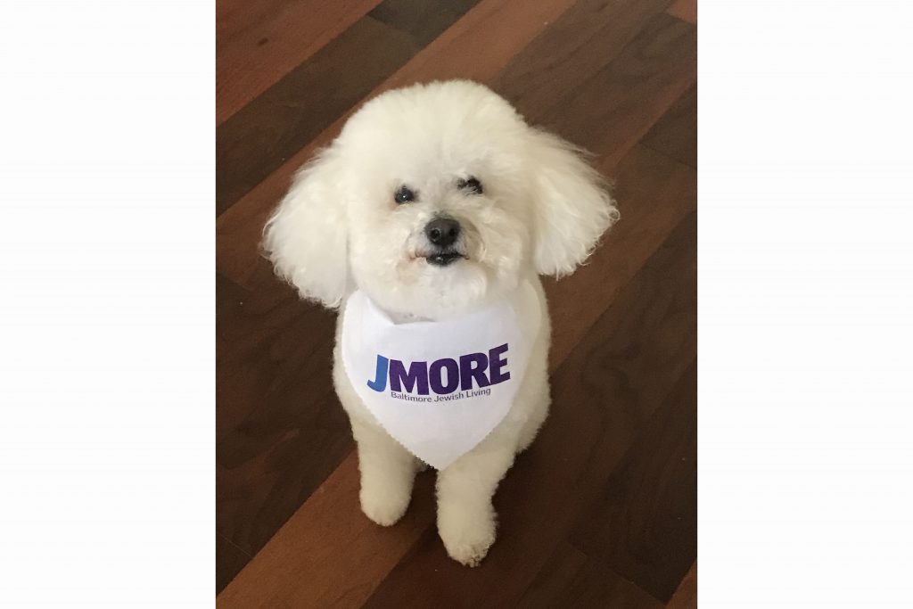 Jmore cover contest