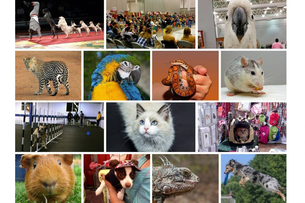 World of Pets Expo