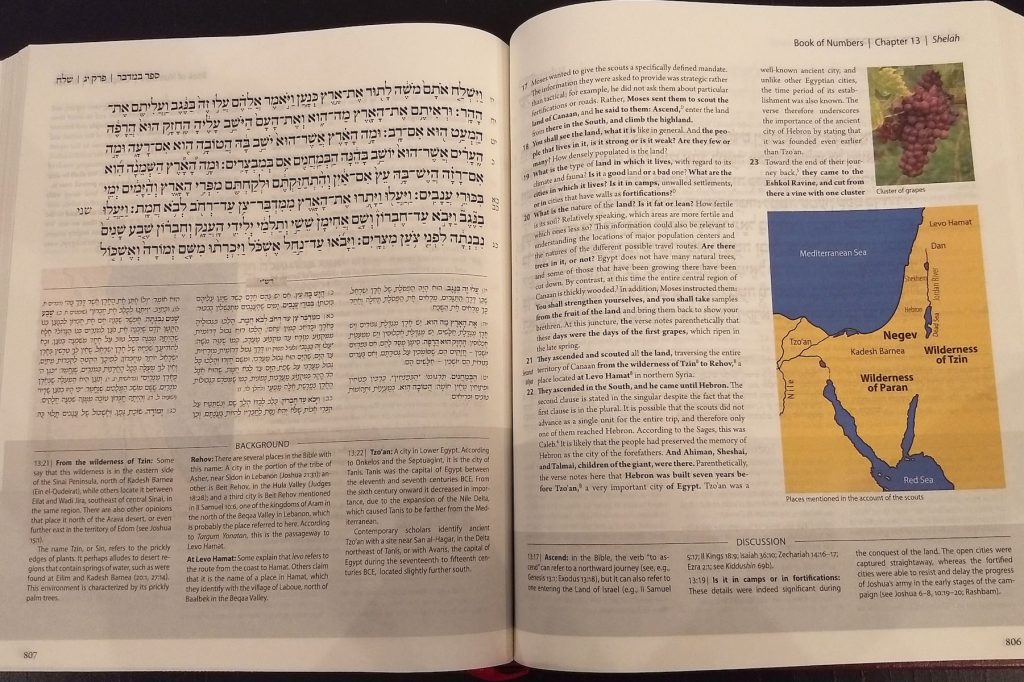 The Steinsaltz Humash