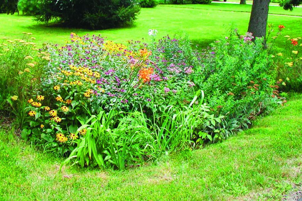 Rain garden