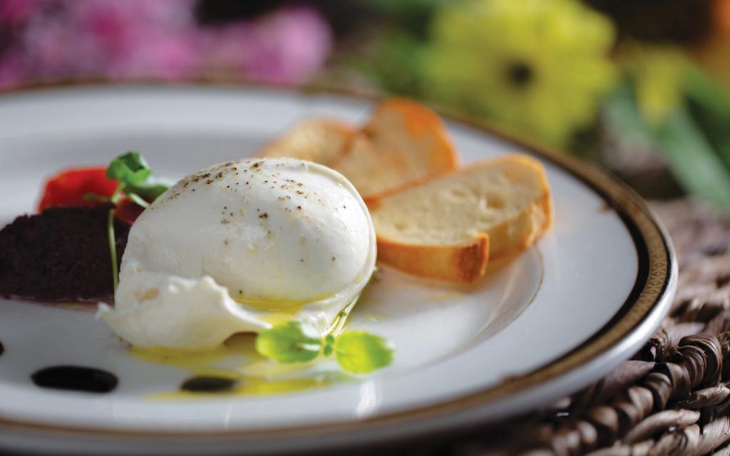 Fresh mozzarella burrata at The Milton Inn