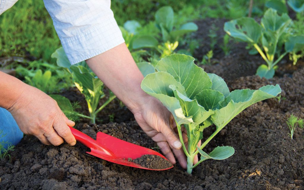 gardening