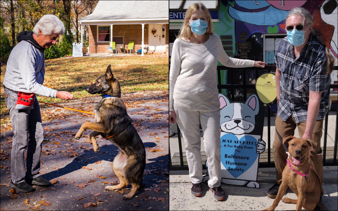 Animal behavior counselor and trainer Marty Sitnick urges people to think carefully before they adopt a pet. Baltimore Humane Society staff are working in shifts to ensure animals are well taken care of and that staff is safe. (Provided photos)