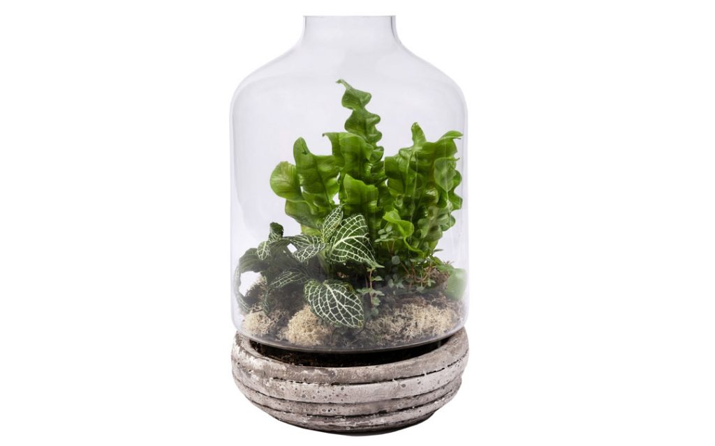 Bring some of the spring foliage indoors with this classic terrarium. From Floral Fêtes, prices and sizes vary (Photo by Vince Lupo)