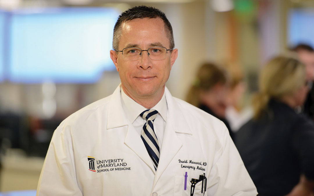 Dr. David Marcozzi