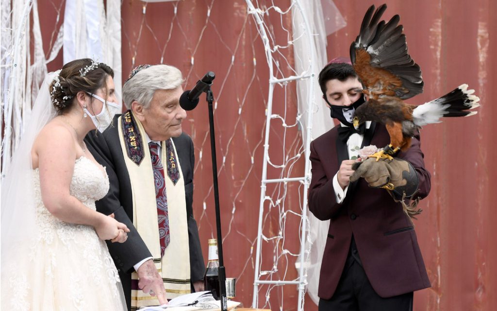 A trained hawk swoops in and delivers the wedding rings to Ryan on the bimah