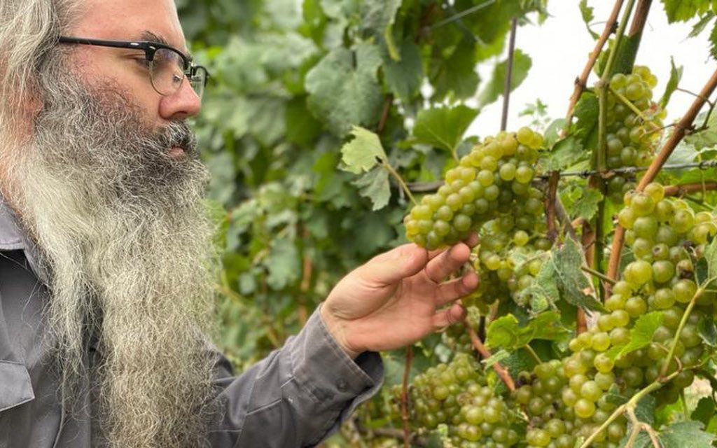Winemaker Avraham Gislason