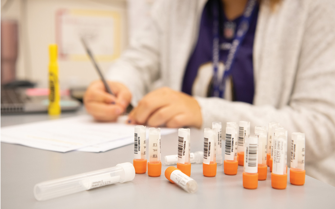 Research teams at the University of Maryland