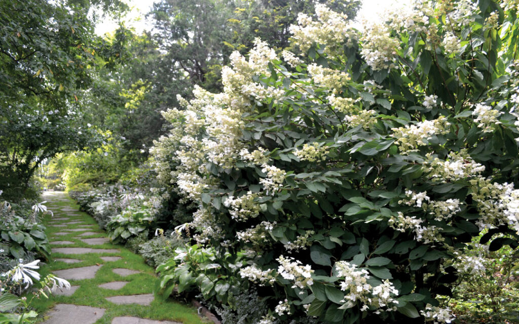Ladew Topiary Gardens