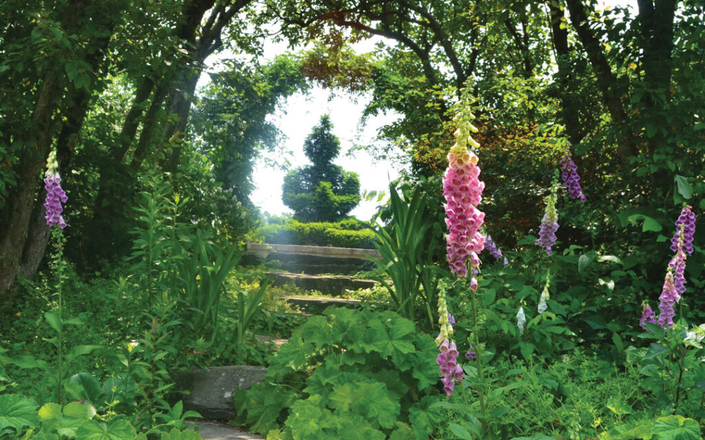 Ladew Topiary Gardens