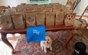 jvc bunches of lunches
