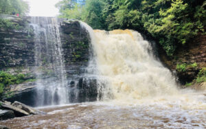 Muddy Creek Falls
