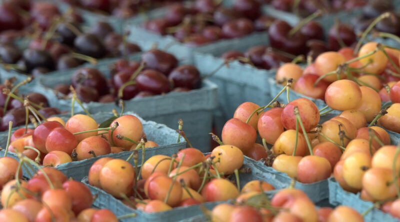 Pikesville Farmers Market
