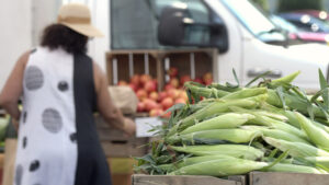 Pikesville Farmers Market