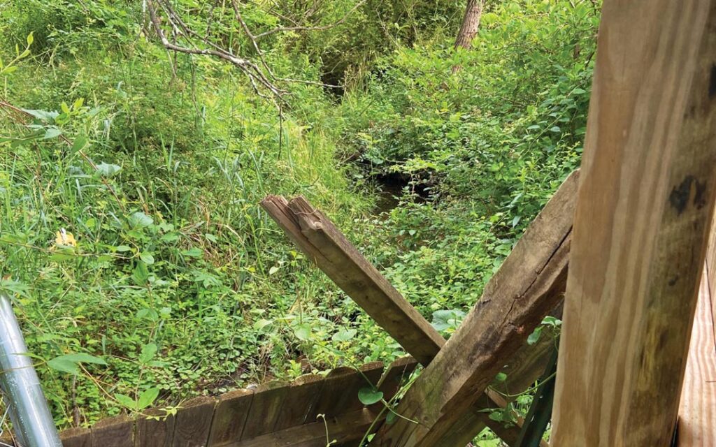 The source of the Jones Falls is this stream bubbling near the intersection of Caves and Garrison Forest roads in Owings Mills.